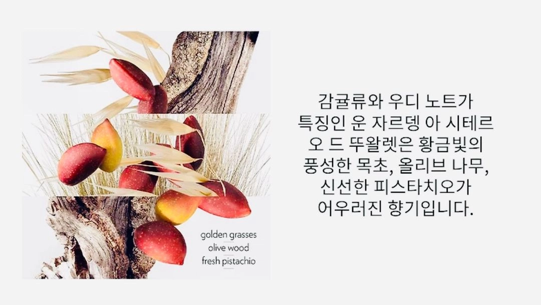 에르메스향수 정품 / 운 자르뎅 아 시테르 오드뚜왈렛 15ml 이미지