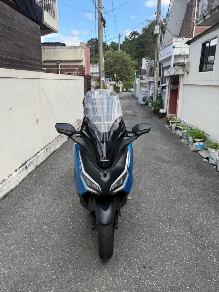 포르자350 이미지