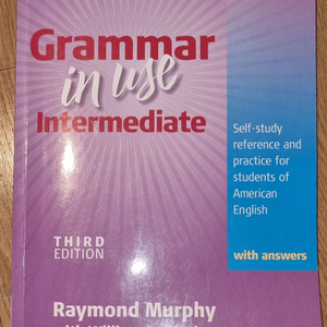grammar in use inter 그래머 인 유즈 이미지