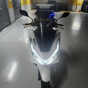 25년식 PCX125 화이트 마지막가격인하 네고x 이미지