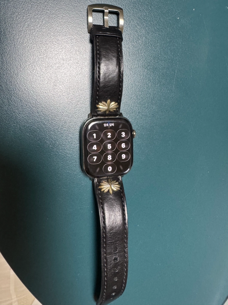 애플워치11 티타늄 정품 밴드포함 46mm 셀룰러 GPS 이미지