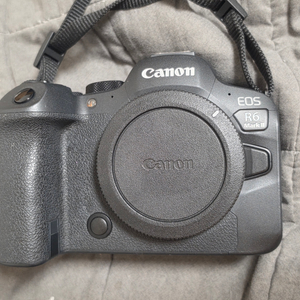 캐논 Canon R6 mark2 R6M2 알육막투 이미지