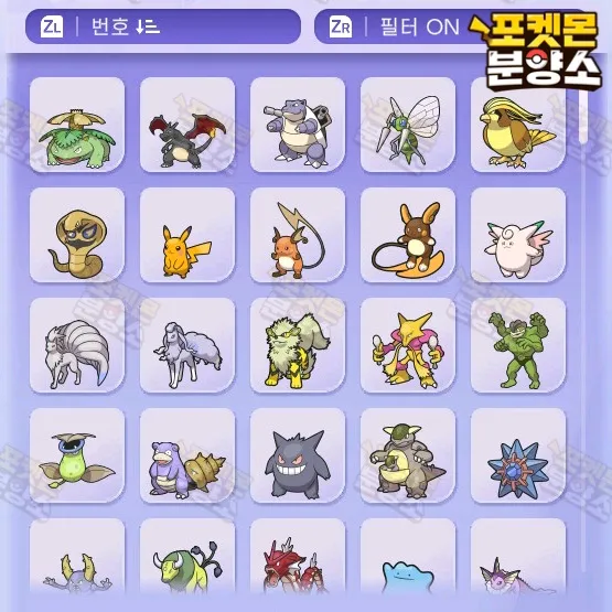 이로치 & 실전 포켓몬 분양 / 챔피언스 포챔스 이미지