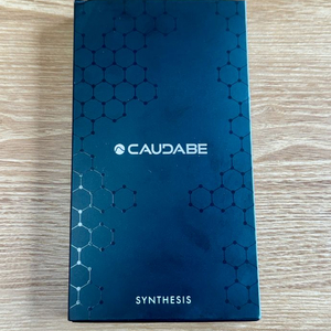 Caudabe 아이폰 16 프로 맥스 SYNTHSIS 케이스 블랙 이미지