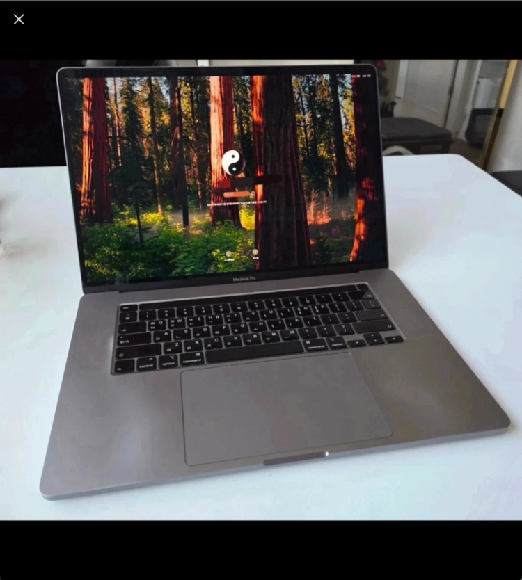 램 32g 맥북프로 2019 16인치 A2141 32G 512g i7 노트북 - 안심되는 중고거래