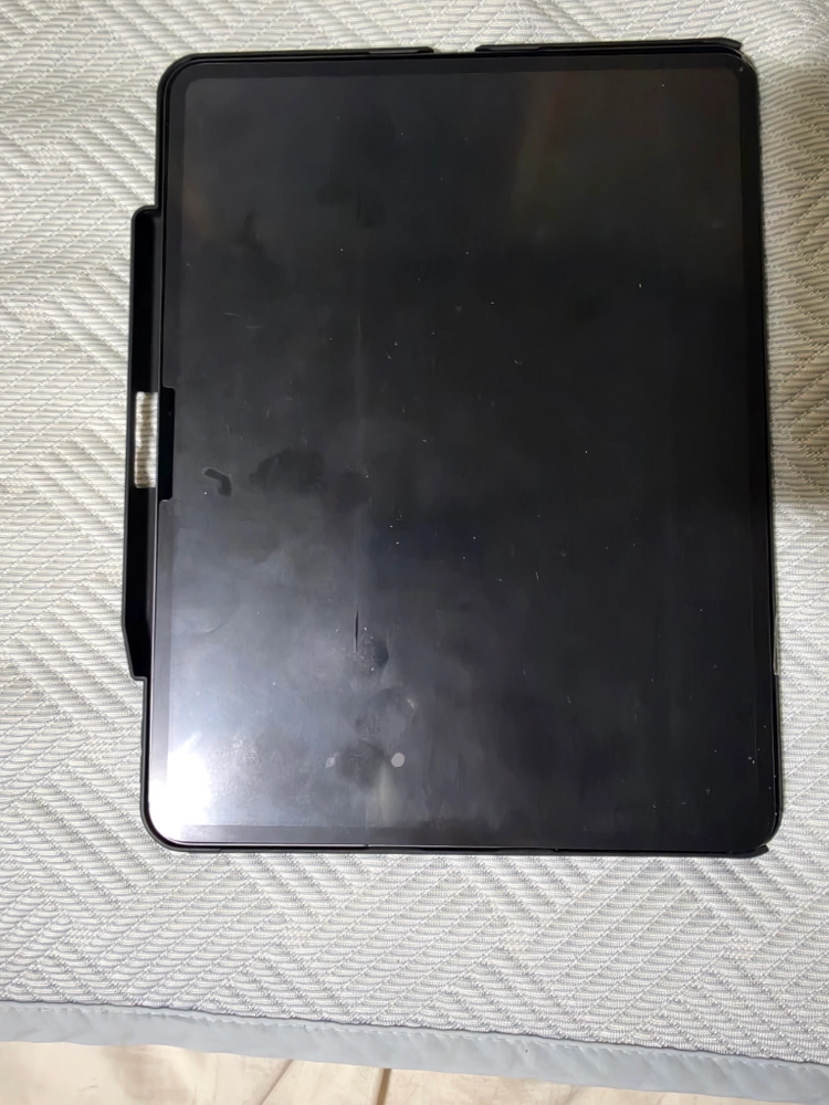 (급처)아이패드 프로 M4 13 2TB 셀룰러 스페이스 블랙 이미지