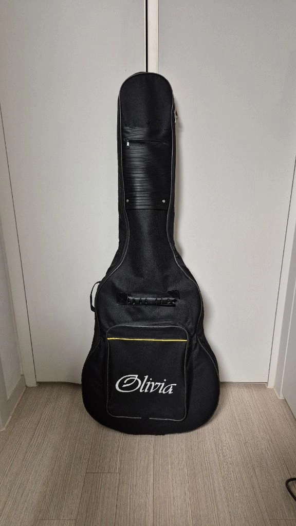 완전새거~/Olivia 재거 aeq 41 EQ 어쿠스틱 기타 이미지