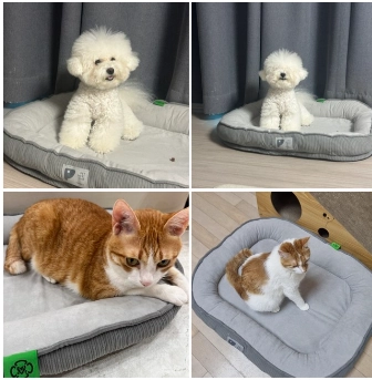 미사용 반려동물 방석입니다 이미지