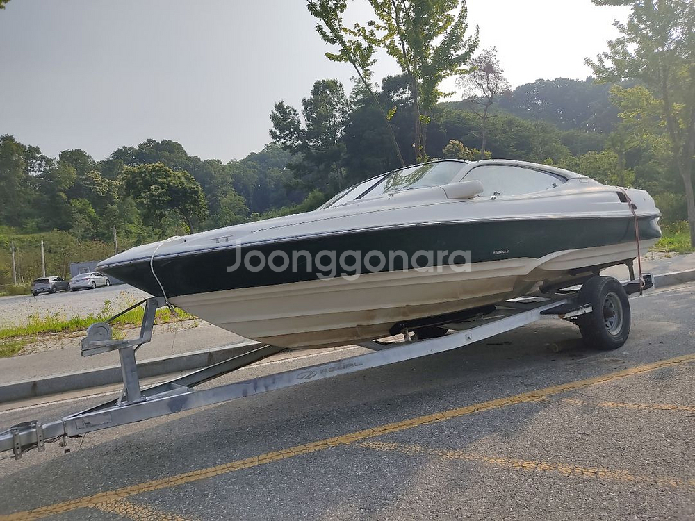 미국 SEGA 8인승 보트 200마력, 650트레일러