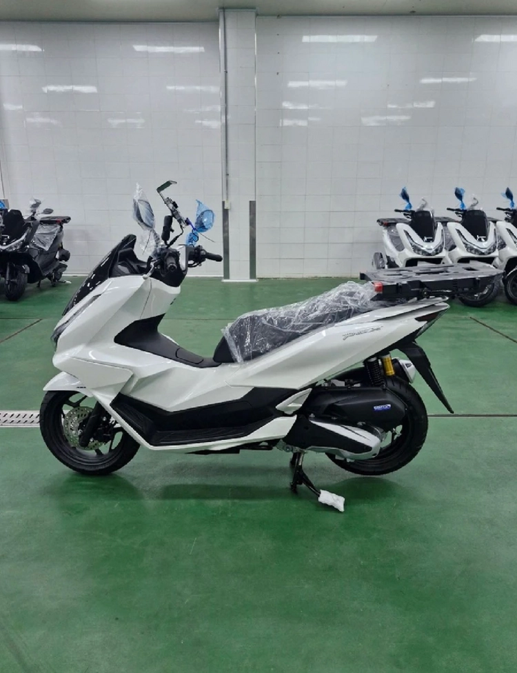 PCX 이미지