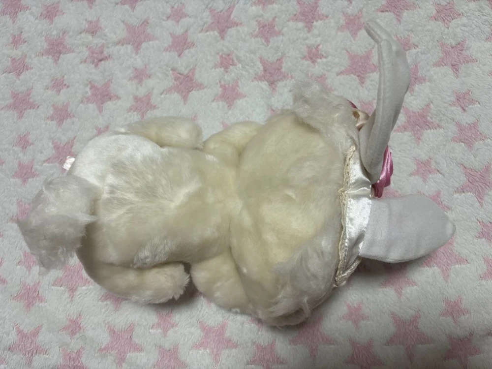 챠미키티 우사기 챠미키티 이미지
