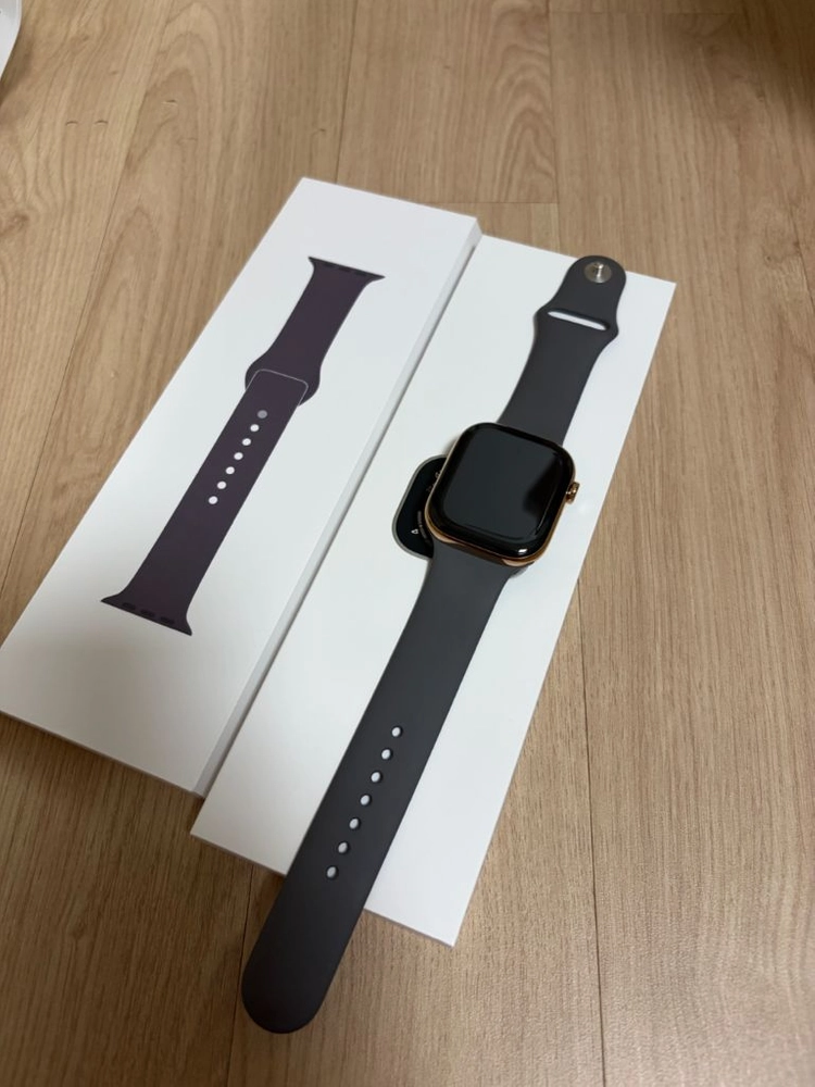 애플위치10 티타늄 골드46mm 이미지