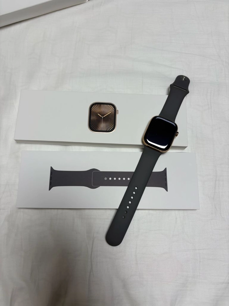 애플위치10 티타늄 골드46mm 이미지