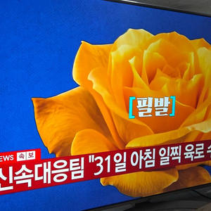 엘지 65인치 SUPER UHD 이미지