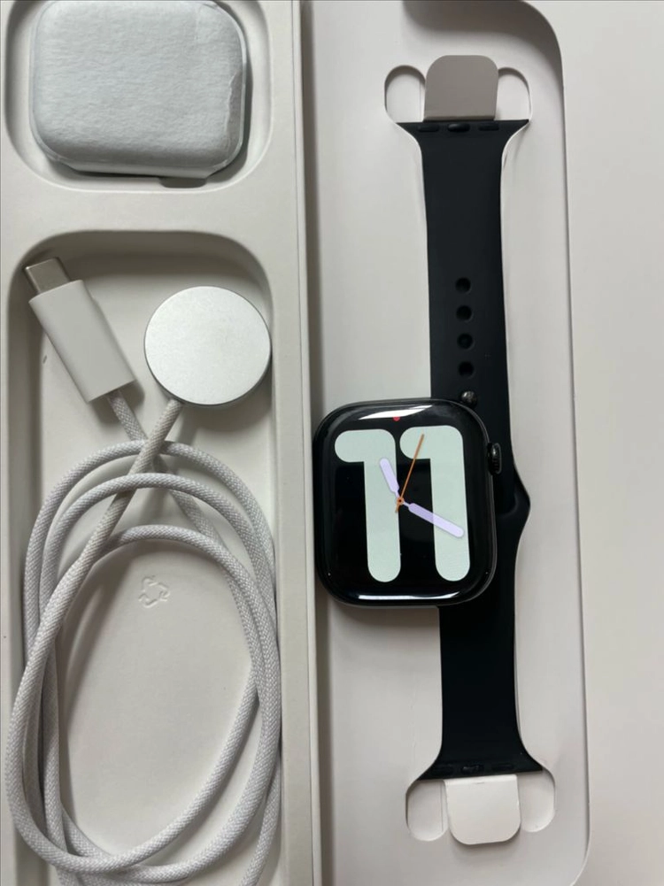 애플워치10티타늄 46mm 셀룰러 SSS급 - 안심되는 중고거래