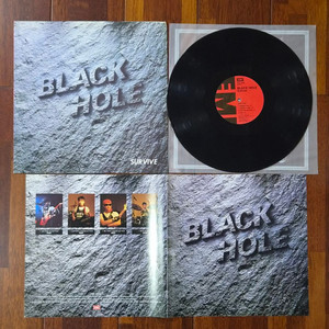 BLACK HOLE 블랙홀2집 LP 이미지