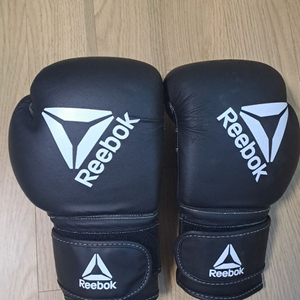 REEBOK 복싱글러브 이미지