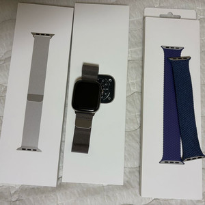 애플워치11 내추럴 티타늄 42mm 이미지