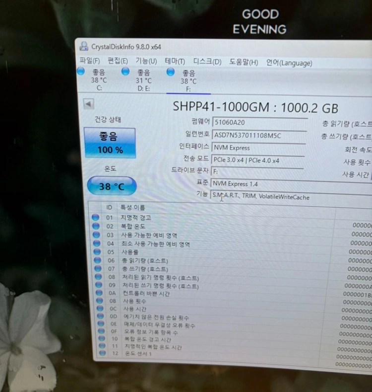 하이닉스 p41 플래티넘 1tb ssd 팝니다 이미지