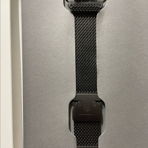 애플워치 티타늄 밀레니즈루프 49mm M SS급 이미지
