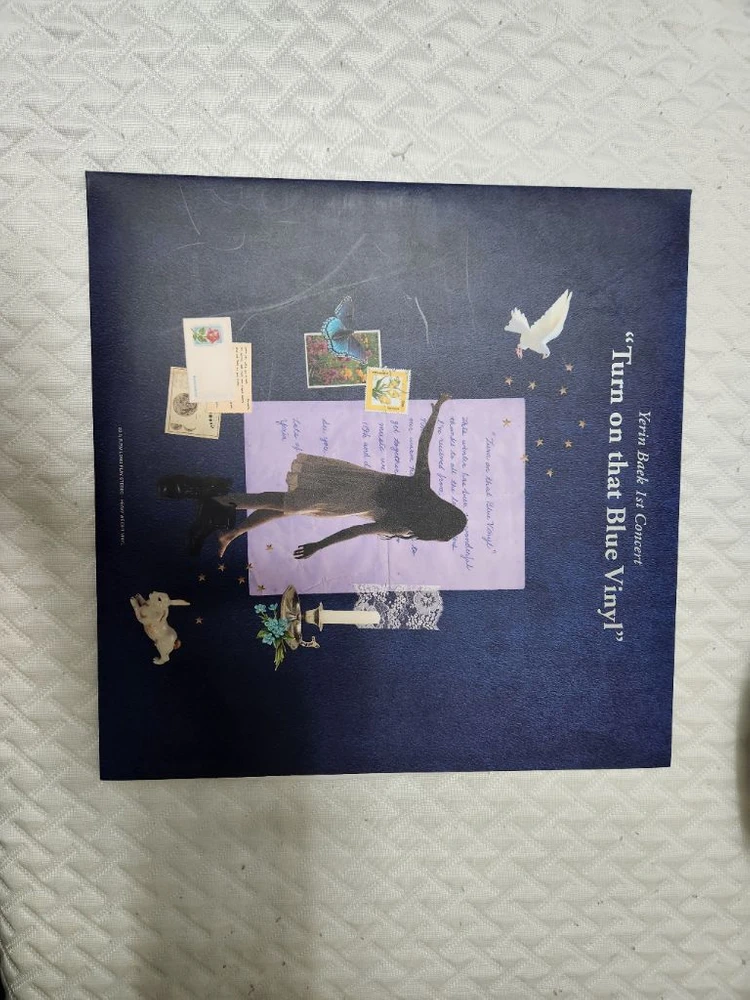 백예린 lp 나의 아저씨 lp 선우정아 lp외 이미지