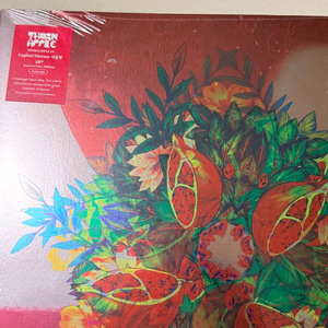 쏜애플 서울병 10주년 한정반 LP 미개봉 급처 이미지