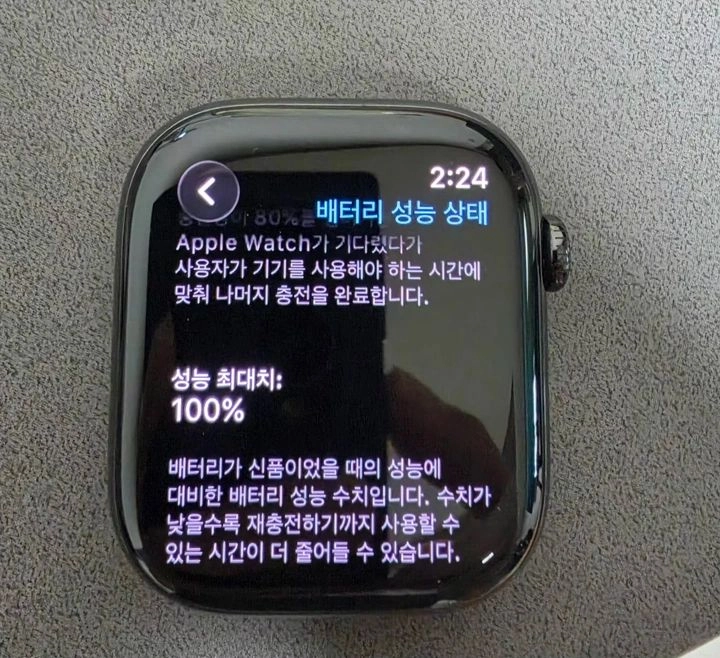 애플워치11 셀룰러 티타늄 슬레이트 46미리 정품 밀레니즈루프 이미지