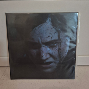 the last of us part2 LP 라오어2 도넛반 이미지