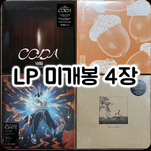 유다빈밴드4장 미개봉LP 이미지