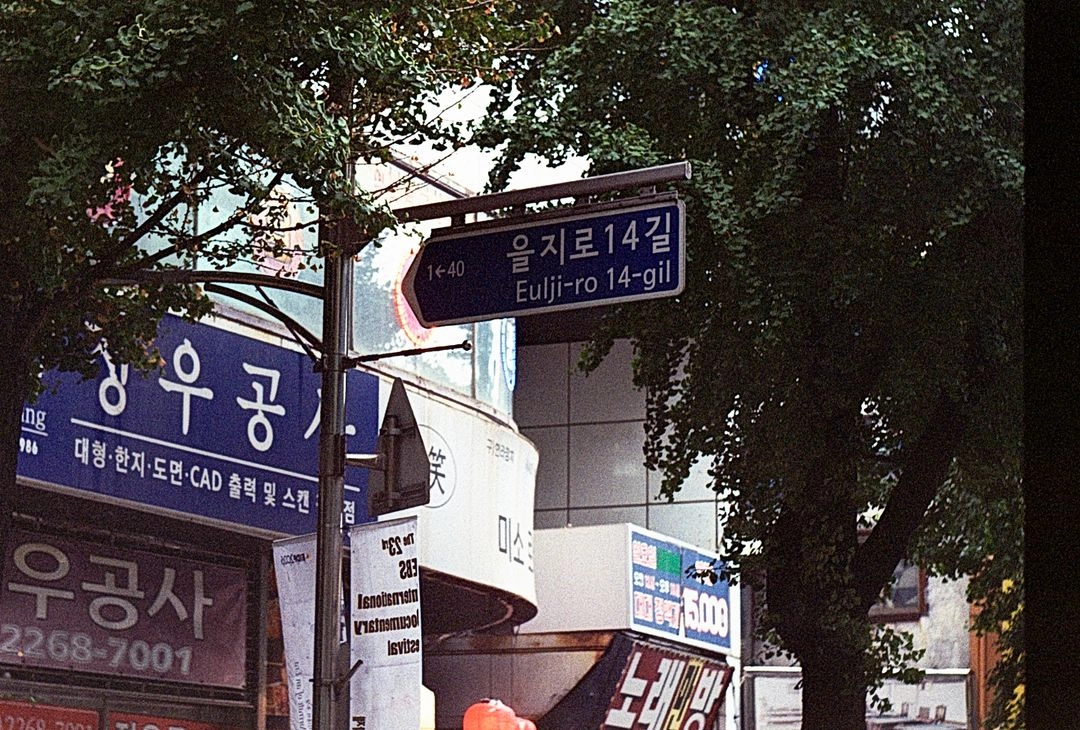 준망원렌즈 프락티카 빈티지 필름카메라 이미지