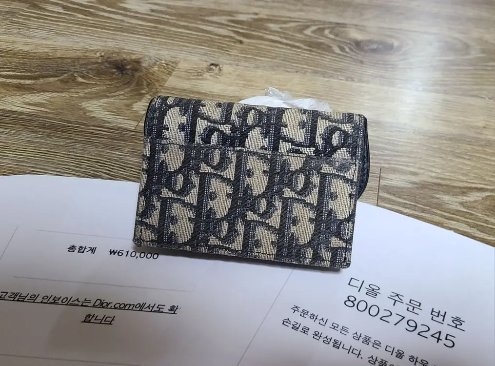 디올 새들 카드지갑 명품반지갑구찌루이비통프라다셀린느샤넬톰브라운고야드에르메스생로랑보테가 이미지