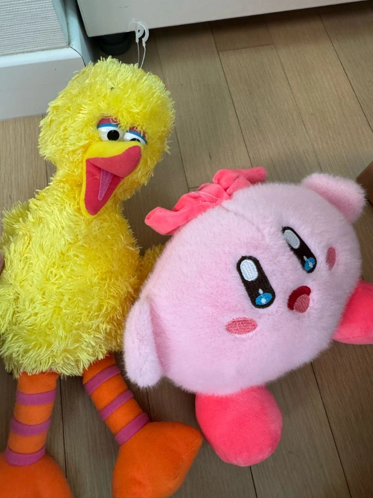 어린이 책 이미지