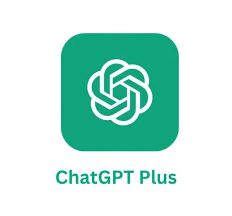 ChatGPT PLUS chatgpt플러스/go 지피티 1개월 - 안심되는 중고거래