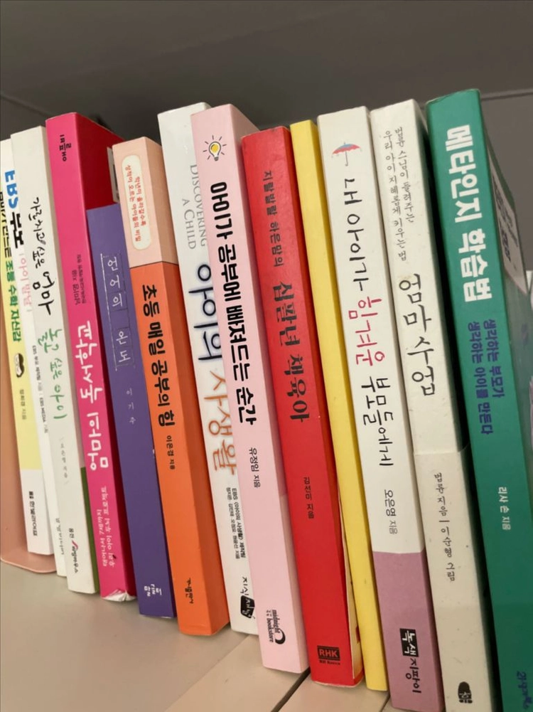 독서용 도서 세트 이미지
