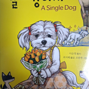 솔로 강아지 - 폐기된 화제의 잔혹 동시 이미지