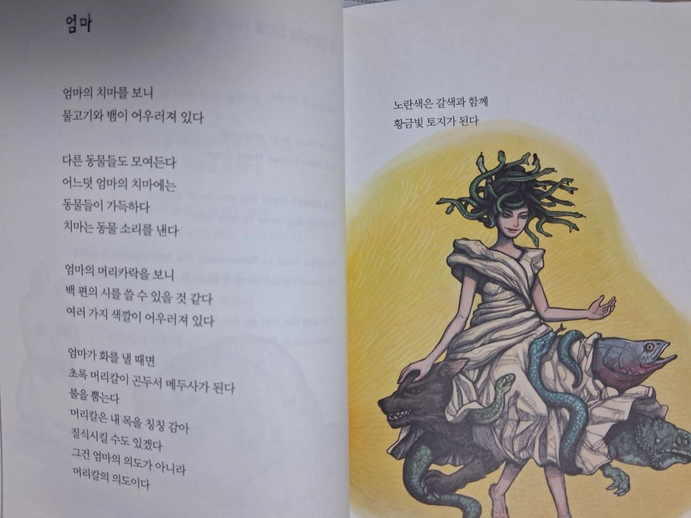 솔로 강아지 - 폐기된 화제의 잔혹 동시 이미지