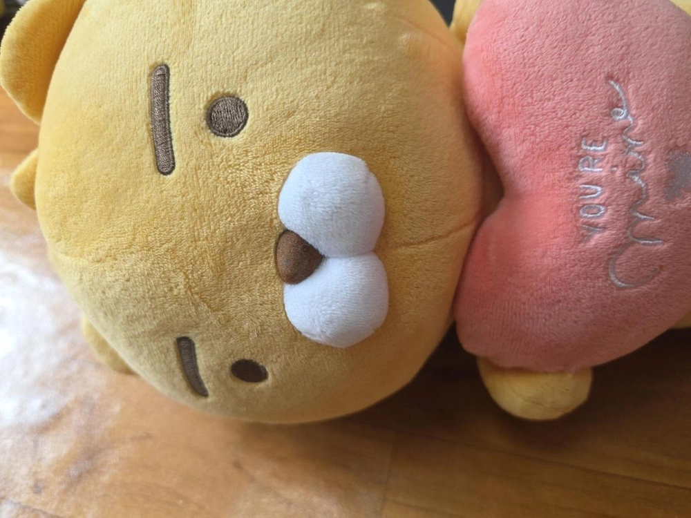 리틀프랜즈 곰돌이 봉제인형 하트인형 YOU,REMINE 애착인형 인형 이미지