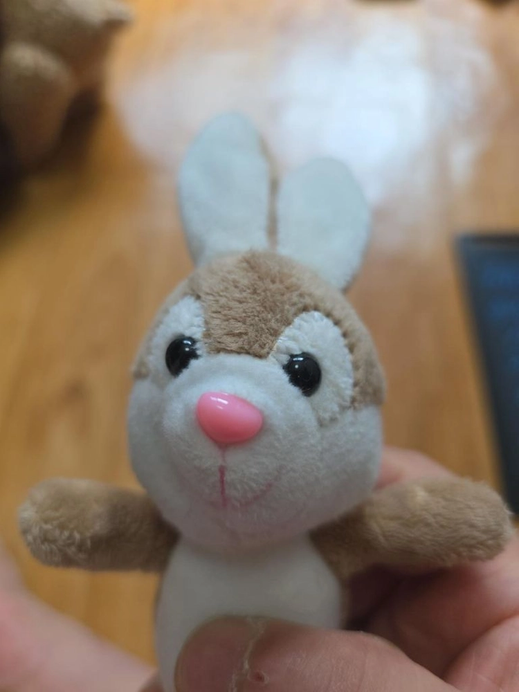 갈색토끼 봉제인형 간귀 브라운 애착인형 토끼인형 이미지