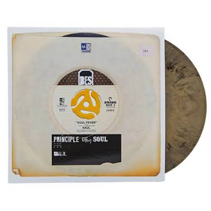 [미개봉 LP] 나얼 1집 - Principle Of My Soul 이미지