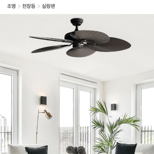 텍사스 실링팬 블랙 팝니다. 이미지