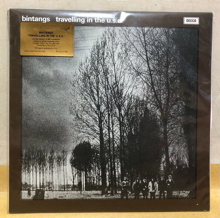 LP ; bintangs - travelling in the USA 블루스 락 엘피 음반 blues rock 이미지