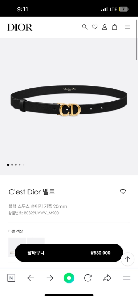 디올 여성 벨트 이미지