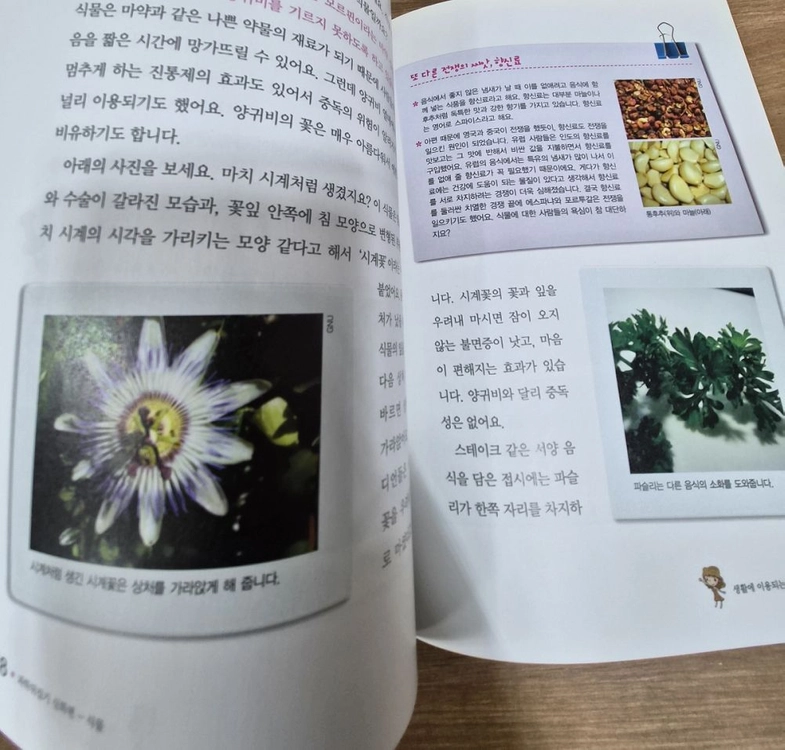 선생님도 놀란 초등과학 뒤집기 심화편 전집 50권 세트 이미지