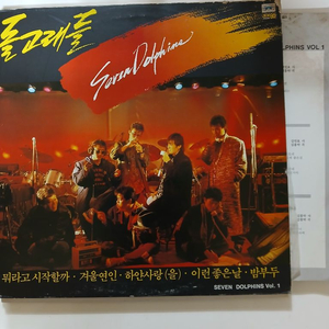 돌고래들LP.NM-/NM 이미지