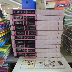 이문열 삼국지 민음사 10권 세트 배송비 포함 안전결제 가능 역사소설 중고책 이미지
