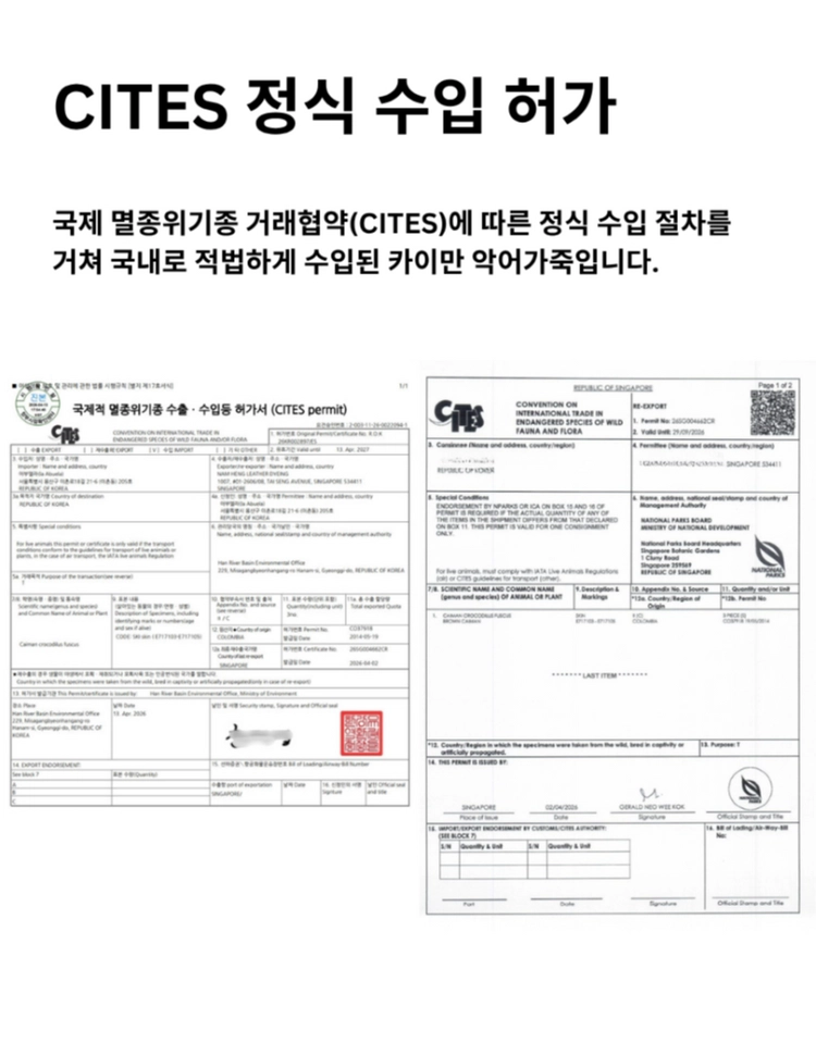 (한정특가) 94-95R-002 카이만 악어가죽 혼백 가죽공예 원장 이미지