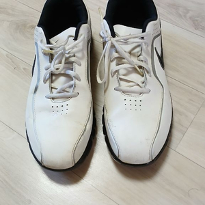 남성신발 나이키 골프화겸 운동화 280 이미지