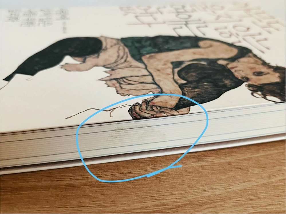 아무도 울지 않는 연애는 없다 사람에 상처 입은 나를 위한 심리학 책 박진진 이미지
