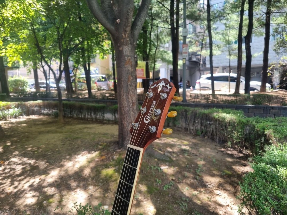 한국산 크래프터 탑솔리드 기타 KD-10 Forte 통기타 이미지
