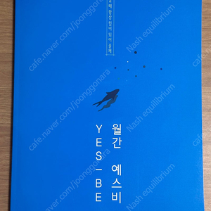 2025 강남대성 사회문화 월간 예스비 4 강대 k 실모 모음 16회분 이미지